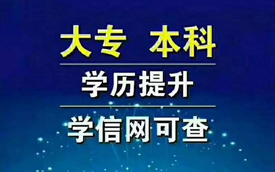 成人专、本科