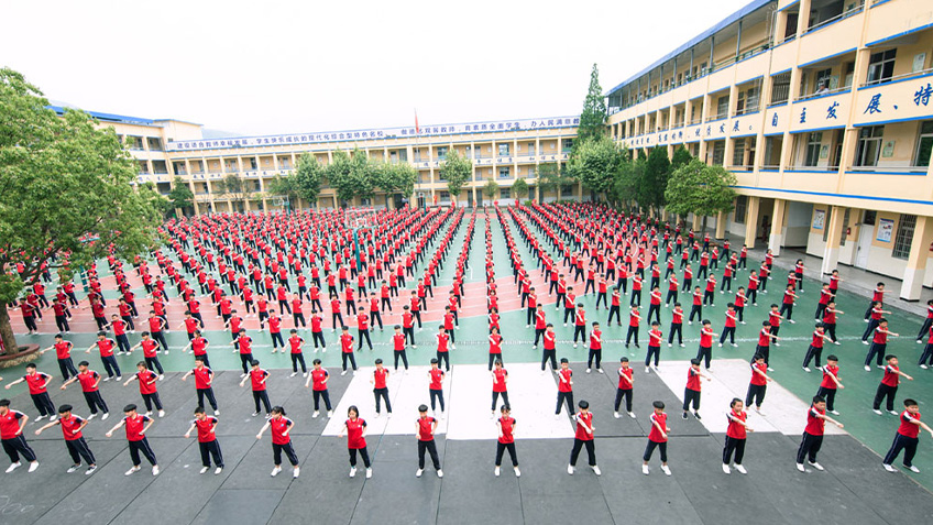 飞林文武学校